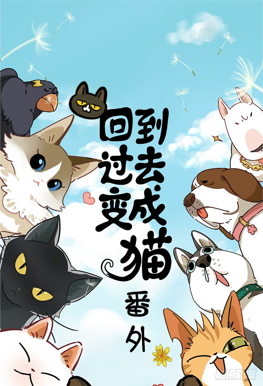 《回到过去变成猫外传》新年番外六 有你在真好 第1页