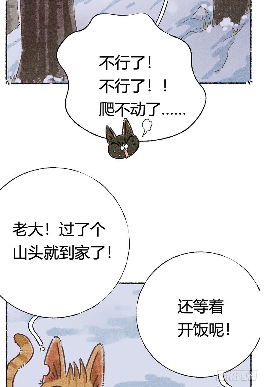 《回到过去变成猫外传》新年番外六 有你在真好 第4页