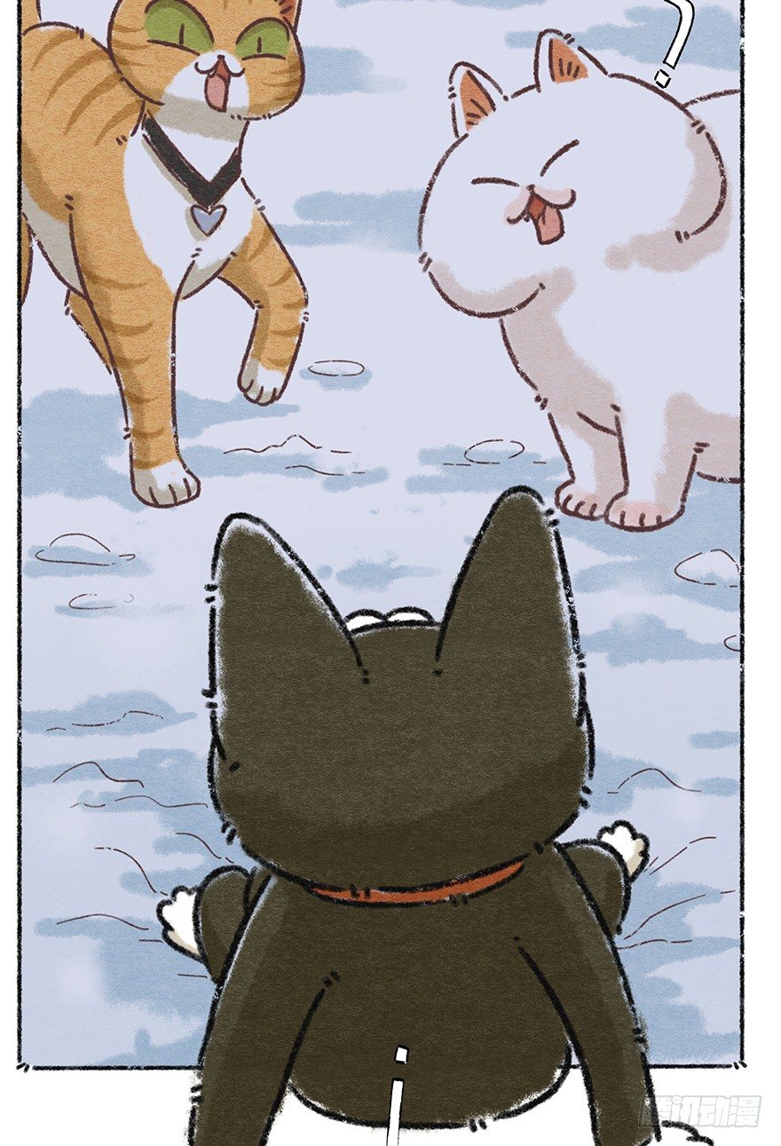 《回到过去变成猫外传》新年番外六 有你在真好 第5页