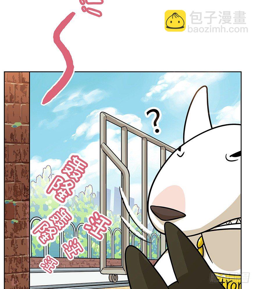 《回到过去变成猫外传》第42爪 想不到的结局（上） 第11页