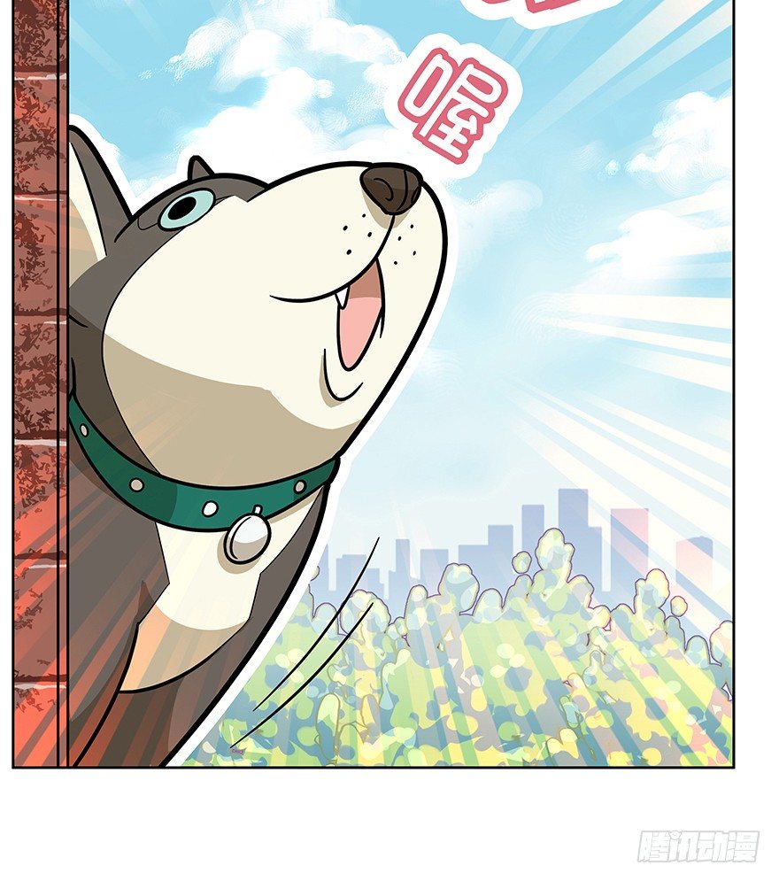 《回到过去变成猫外传》第42爪 想不到的结局（上） 第13页
