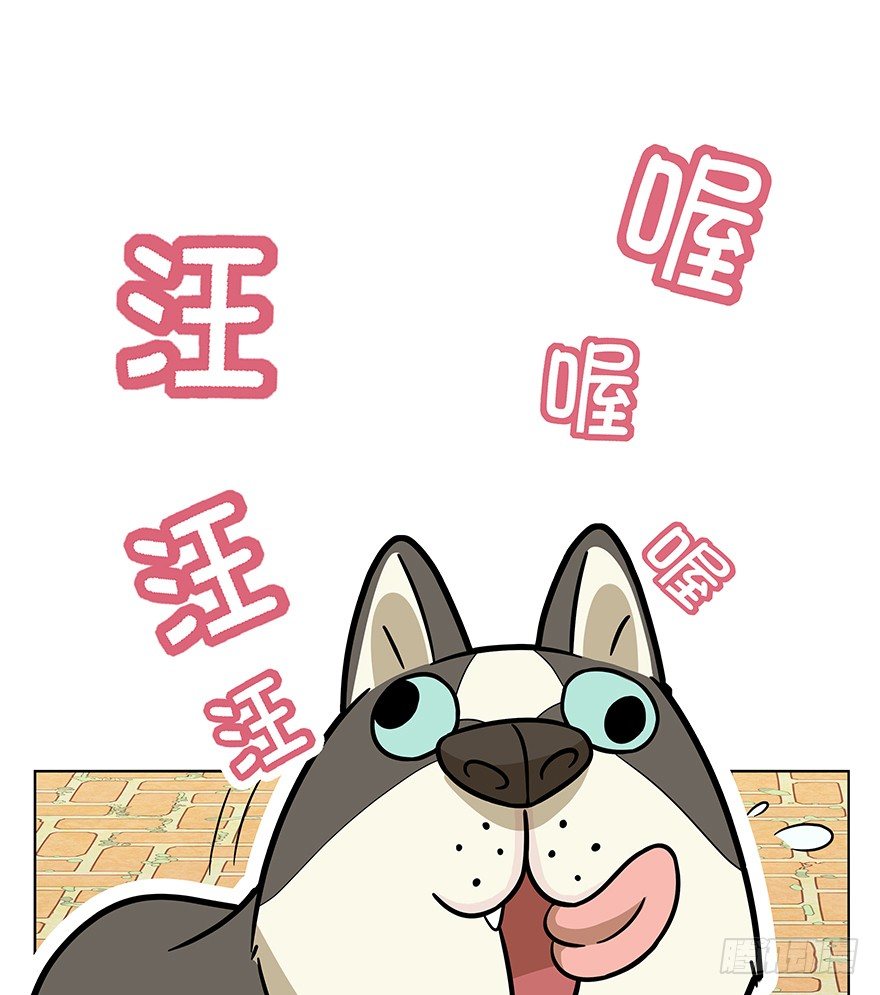 《回到过去变成猫外传》第42爪 想不到的结局（上） 第14页