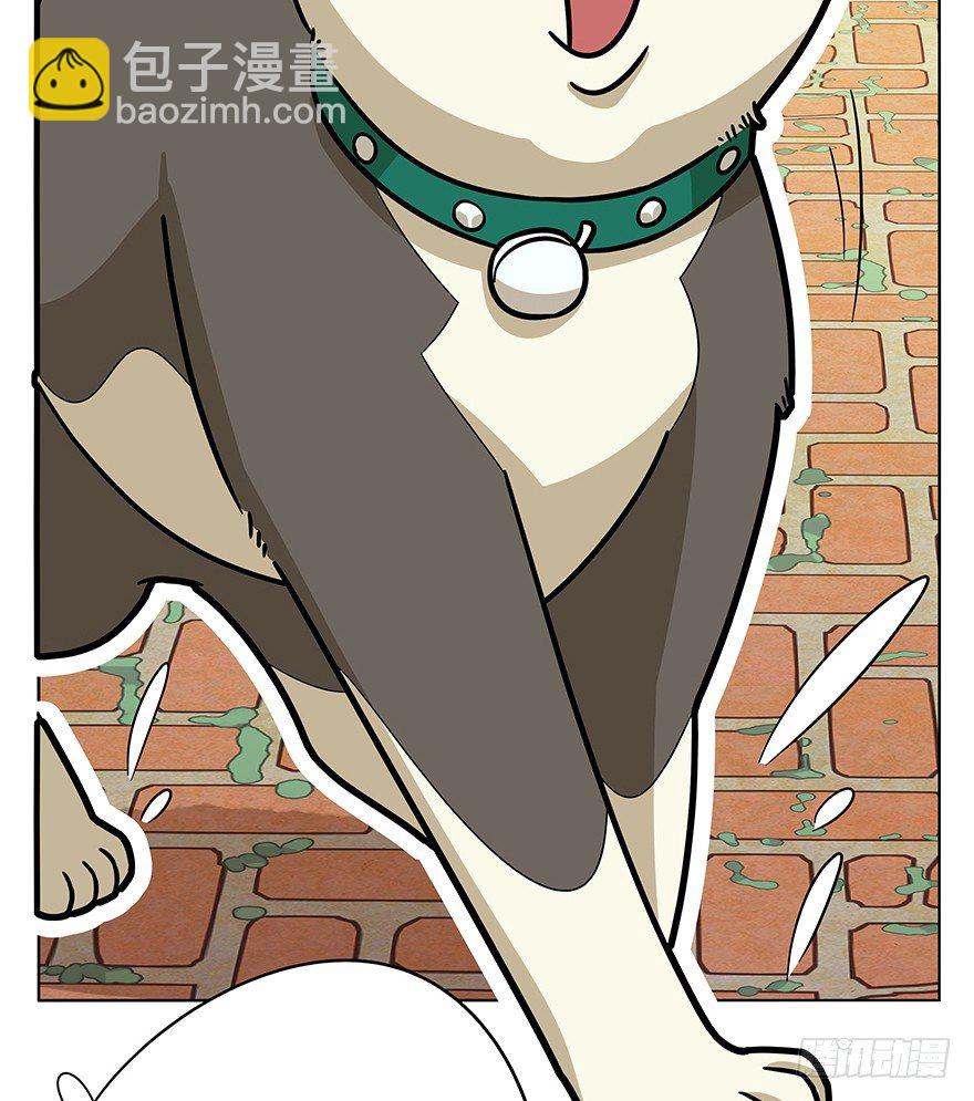 《回到过去变成猫外传》第42爪 想不到的结局（上） 第15页
