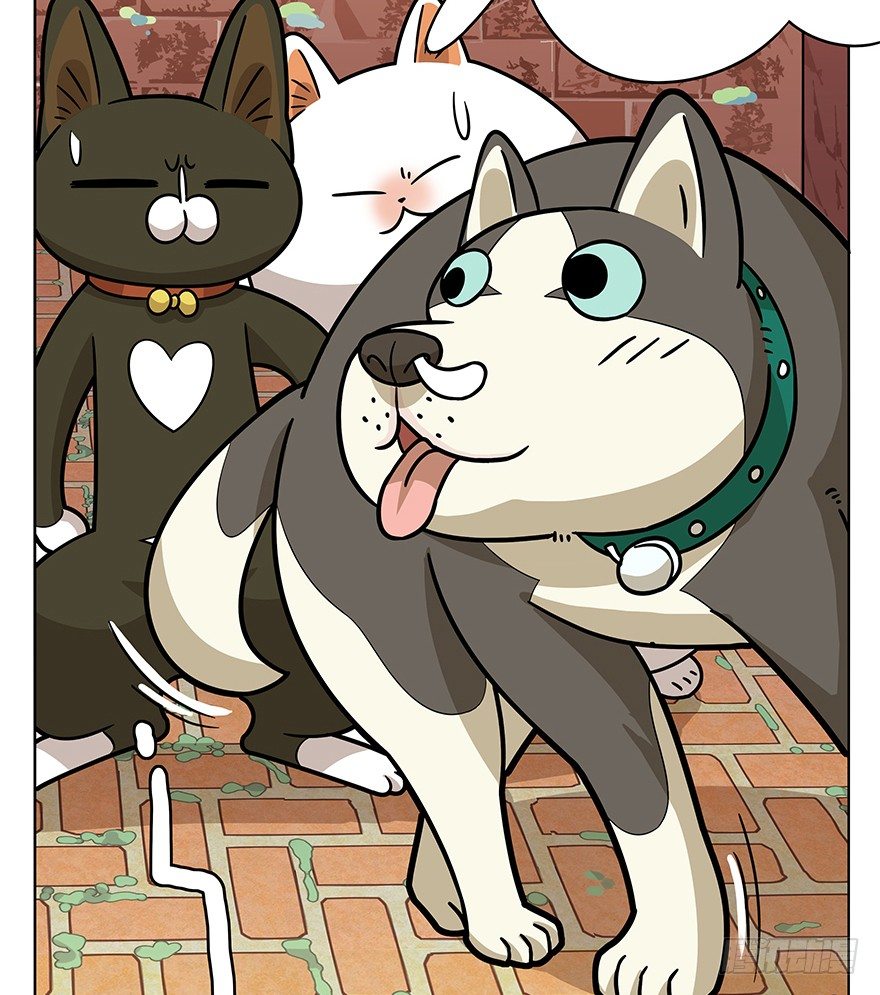 《回到过去变成猫外传》第42爪 想不到的结局（上） 第17页