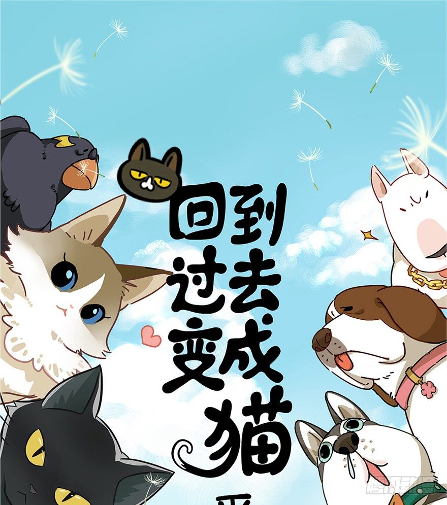 《回到过去变成猫外传》第42爪 想不到的结局（上） 第1页