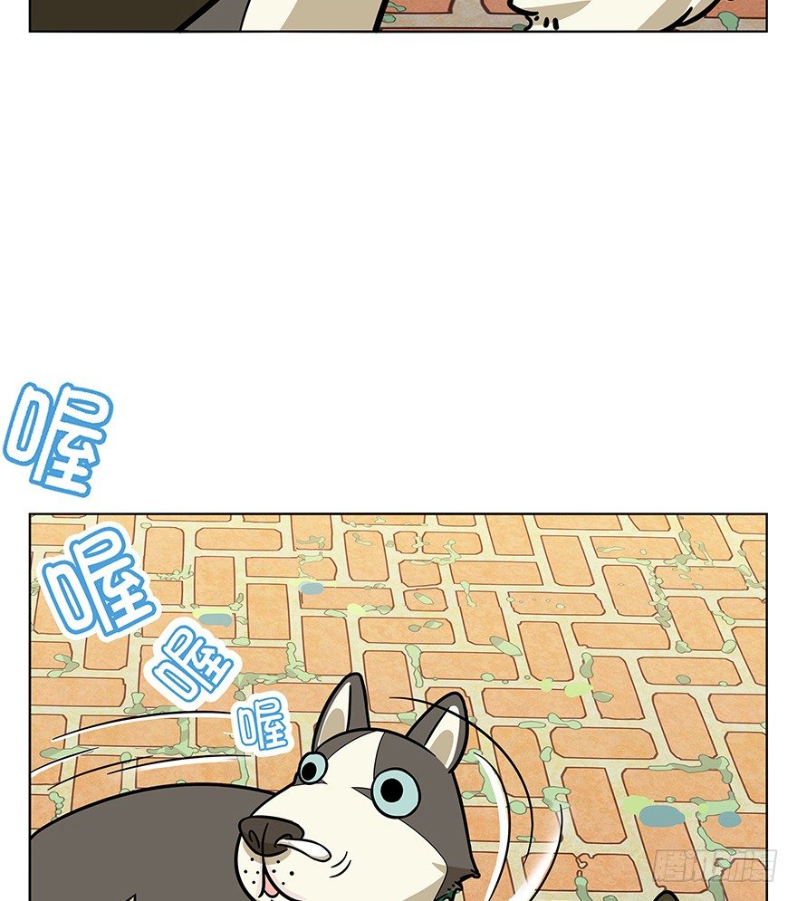 《回到过去变成猫外传》第42爪 想不到的结局（上） 第20页