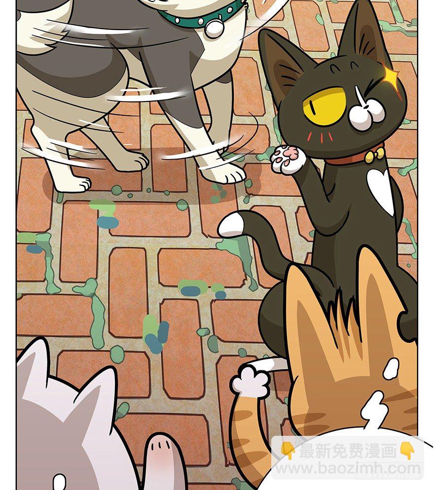 《回到过去变成猫外传》第42爪 想不到的结局（上） 第21页