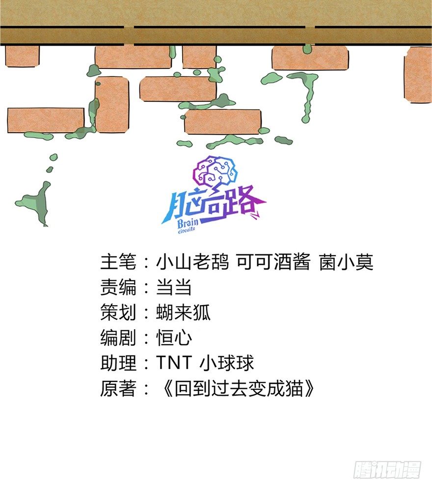《回到过去变成猫外传》第42爪 想不到的结局（上） 第3页