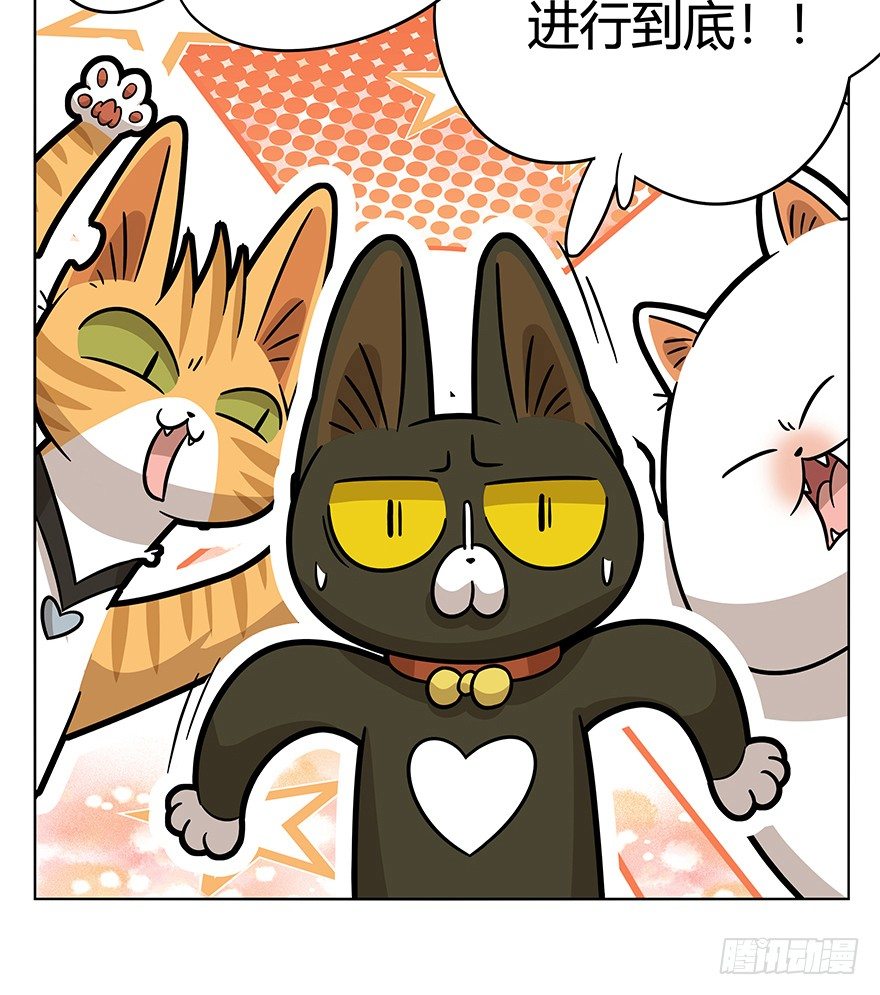 《回到过去变成猫外传》第42爪 想不到的结局（上） 第6页