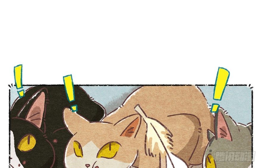 《回到过去变成猫外传》新年番外五 大开眼界（下） 第27页