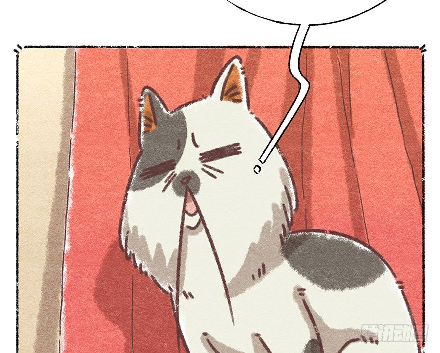 《回到过去变成猫外传》新年番外五 大开眼界（下） 第5页