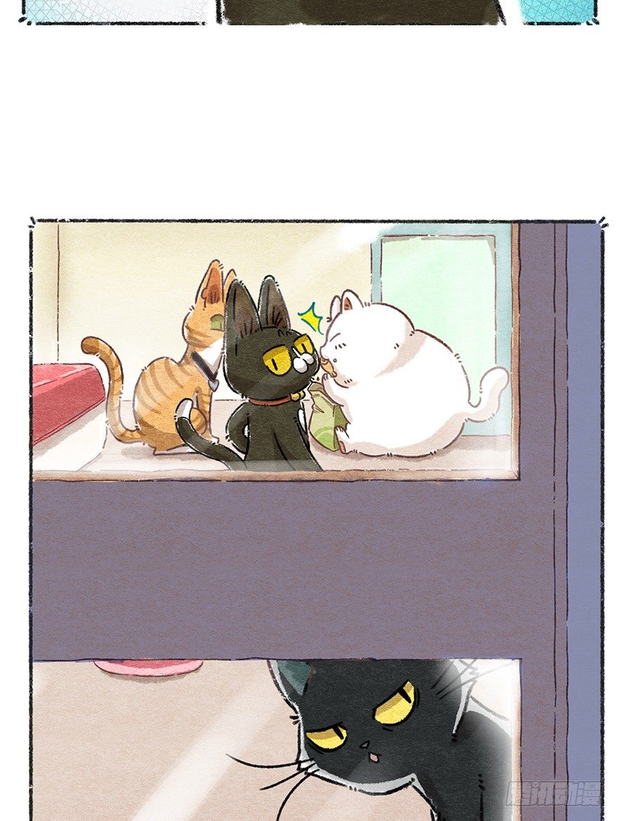 《回到过去变成猫外传》新年番外四 大开眼界（上） 第10页