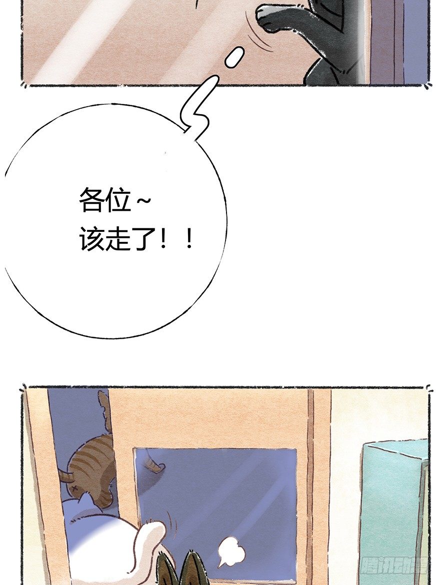《回到过去变成猫外传》新年番外四 大开眼界（上） 第11页