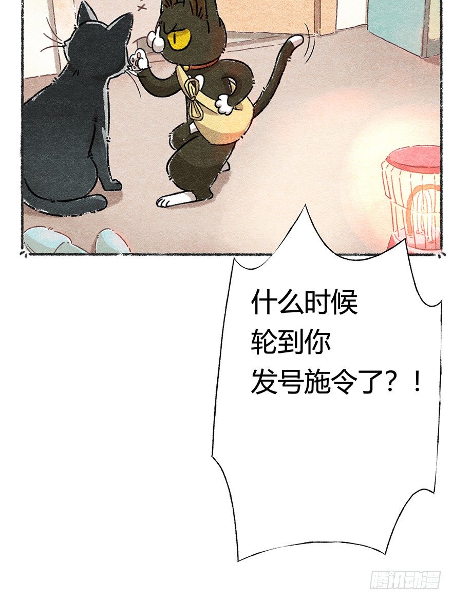 《回到过去变成猫外传》新年番外四 大开眼界（上） 第12页