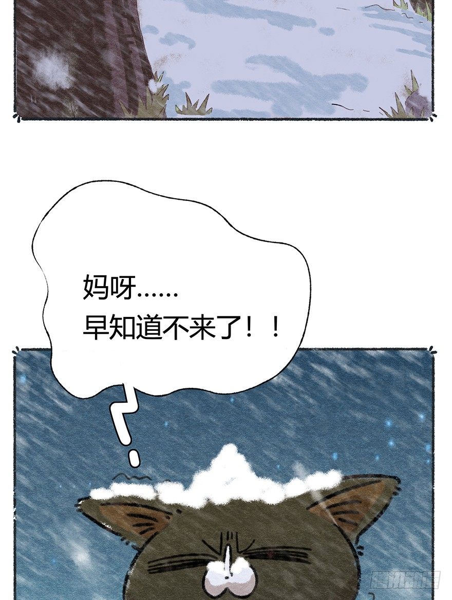 《回到过去变成猫外传》新年番外四 大开眼界（上） 第14页