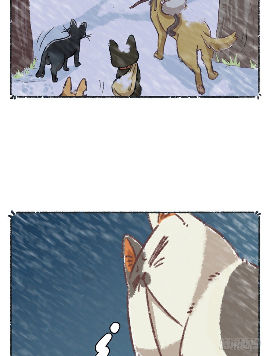 《回到过去变成猫外传》新年番外四 大开眼界（上） 第17页