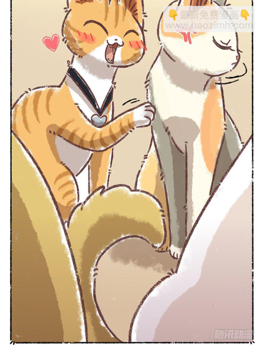 《回到过去变成猫外传》新年番外四 大开眼界（上） 第27页