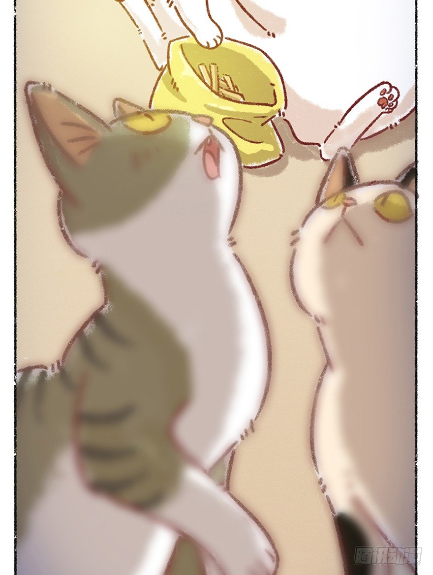 《回到过去变成猫外传》新年番外四 大开眼界（上） 第29页