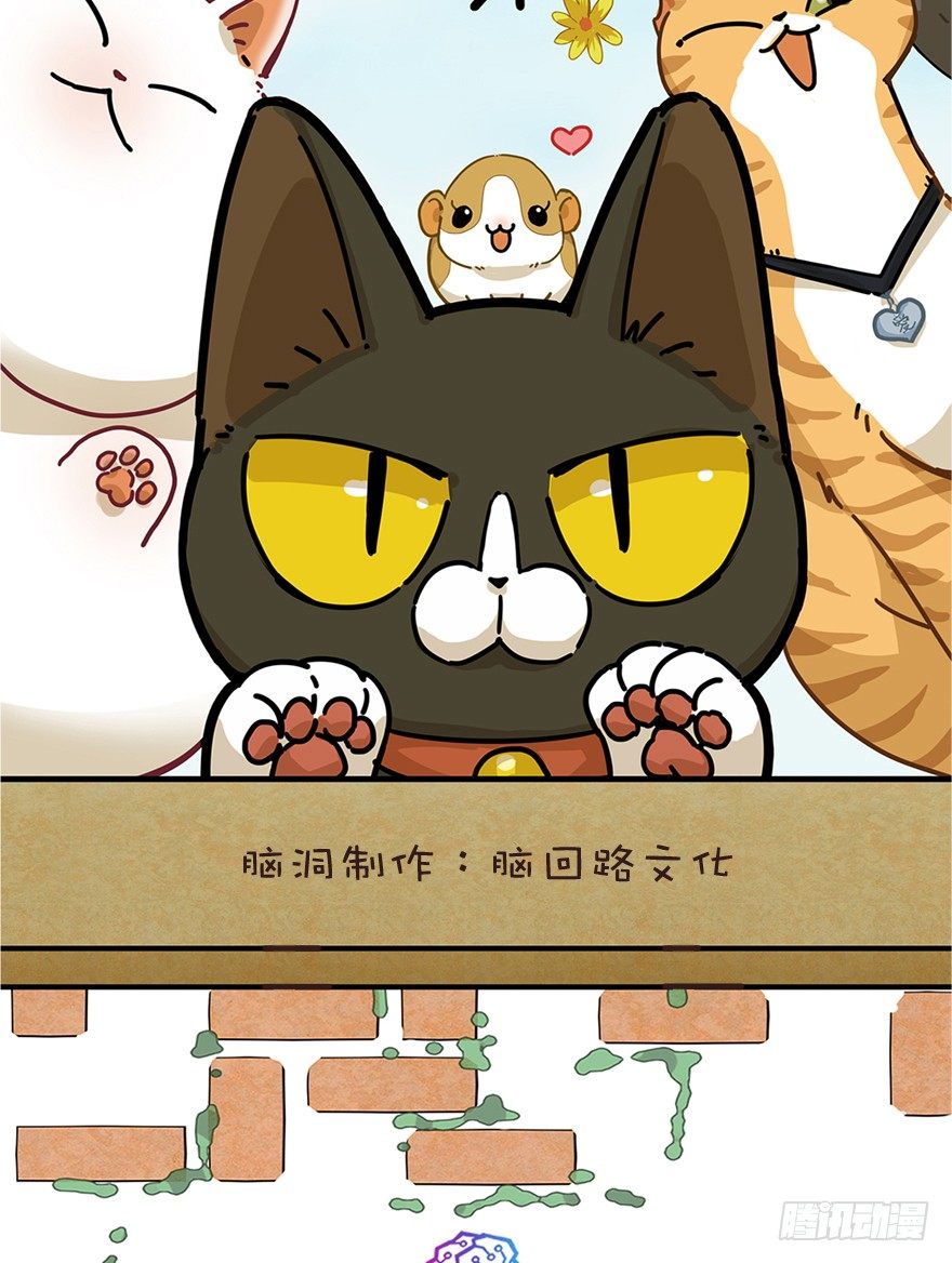 《回到过去变成猫外传》新年番外四 大开眼界（上） 第2页
