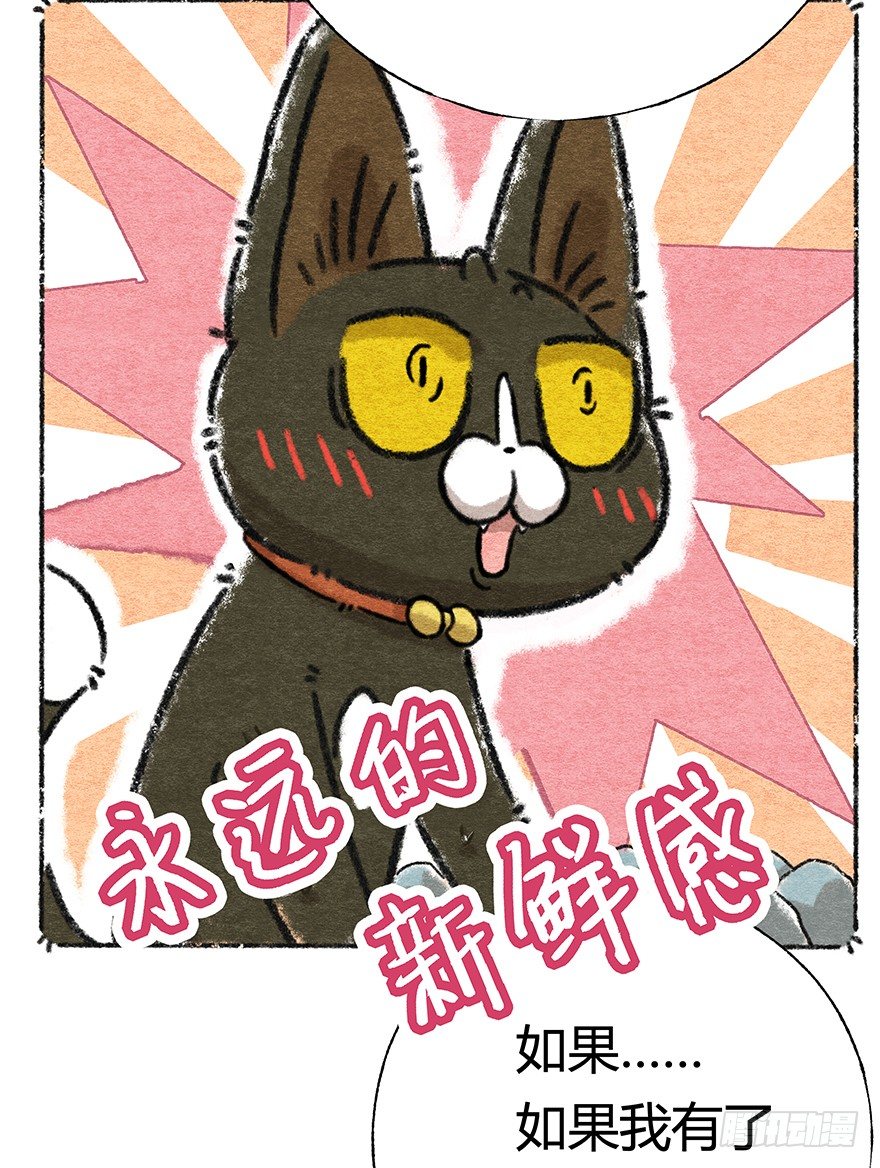 《回到过去变成猫外传》新年番外四 大开眼界（上） 第39页