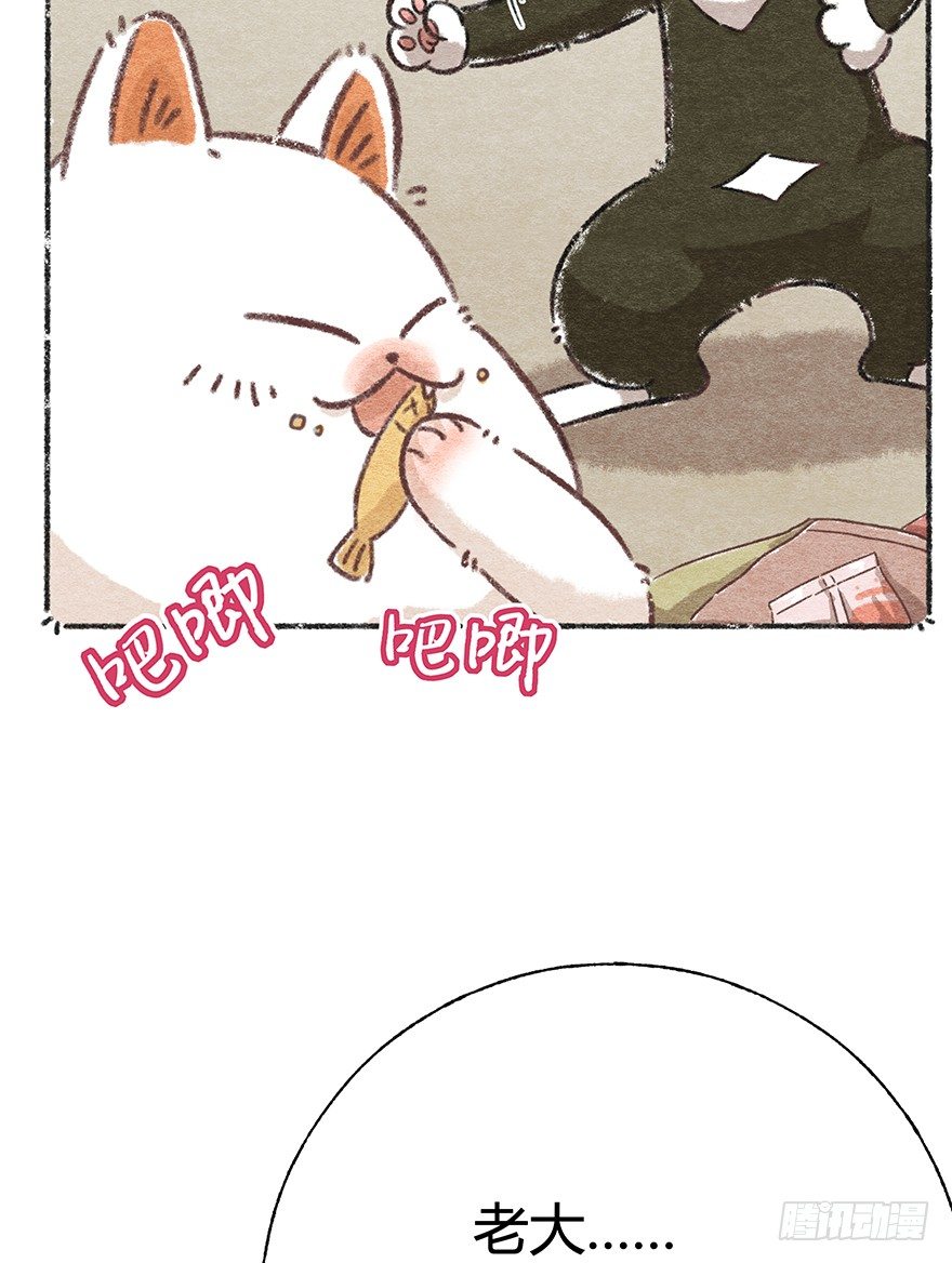 《回到过去变成猫外传》新年番外四 大开眼界（上） 第6页