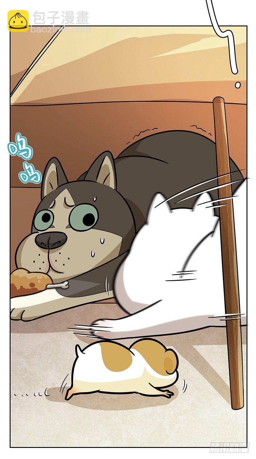 《回到过去变成猫外传》第46爪 鼠头军师 第14页