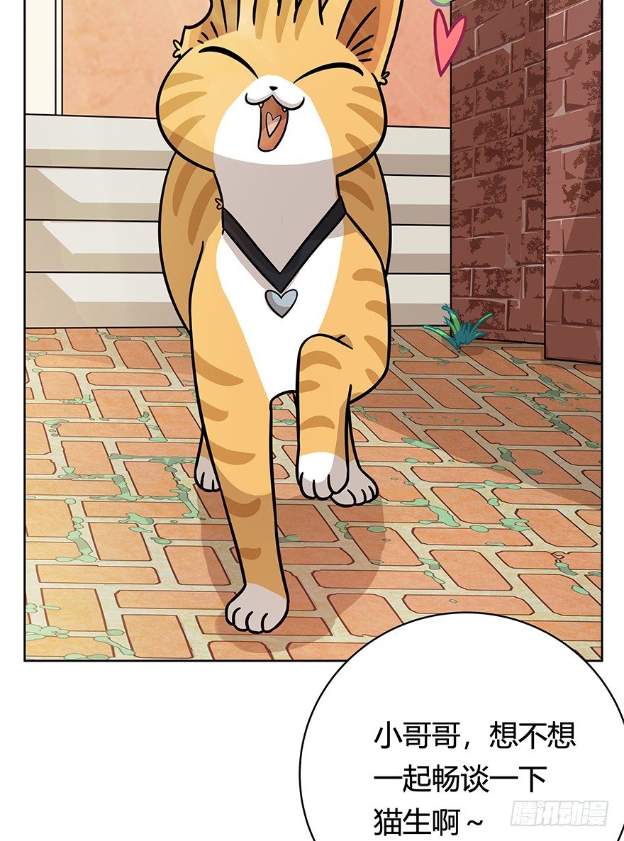 《回到过去变成猫外传》第46爪 鼠头军师 第5页
