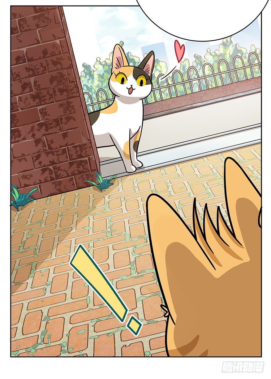 《回到过去变成猫外传》第46爪 鼠头军师 第6页