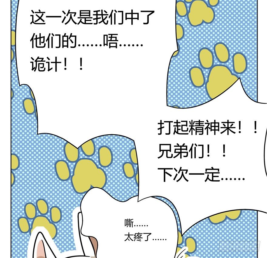 《回到过去变成猫外传》第44爪 夜幕下的阴谋（上） 第14页