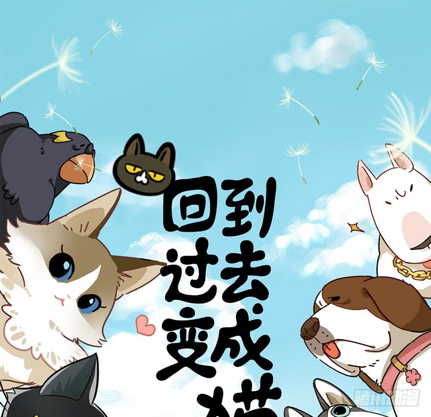 《回到过去变成猫外传》第44爪 夜幕下的阴谋（上） 第1页