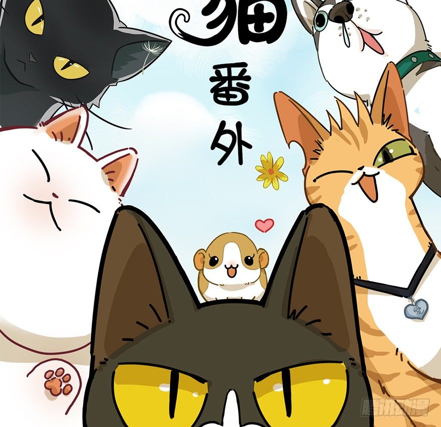 《回到过去变成猫外传》第44爪 夜幕下的阴谋（上） 第2页