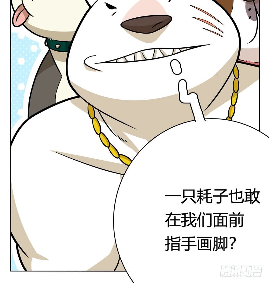 《回到过去变成猫外传》第44爪 夜幕下的阴谋（上） 第31页