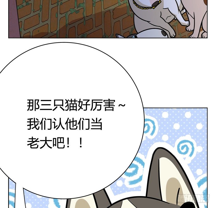 《回到过去变成猫外传》第44爪 夜幕下的阴谋（上） 第6页
