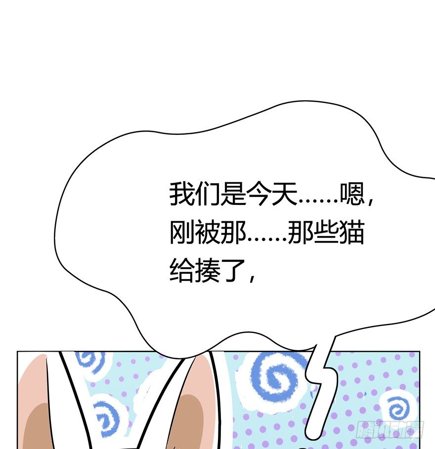 《回到过去变成猫外传》第45爪 夜幕下的阴谋（下） 第12页