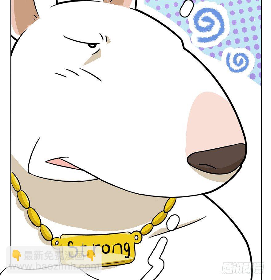 《回到过去变成猫外传》第45爪 夜幕下的阴谋（下） 第13页