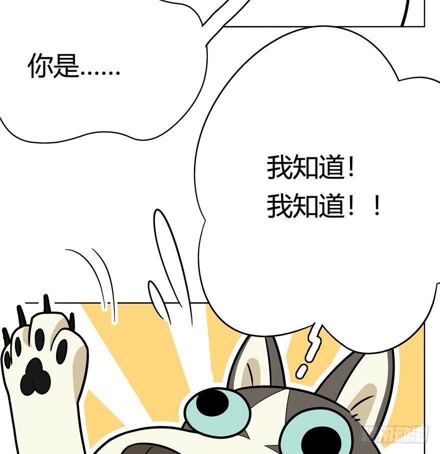 《回到过去变成猫外传》第45爪 夜幕下的阴谋（下） 第14页