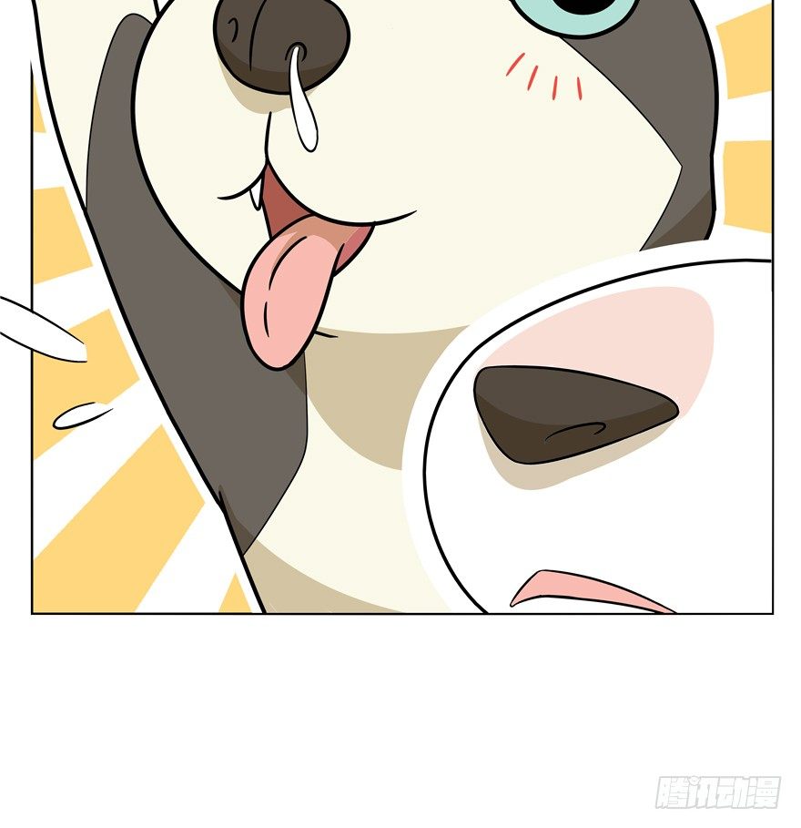 《回到过去变成猫外传》第45爪 夜幕下的阴谋（下） 第15页