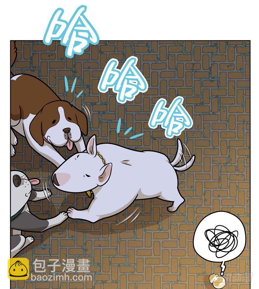 《回到过去变成猫外传》第45爪 夜幕下的阴谋（下） 第18页