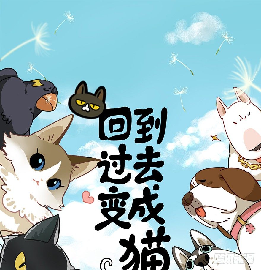 《回到过去变成猫外传》第45爪 夜幕下的阴谋（下） 第1页
