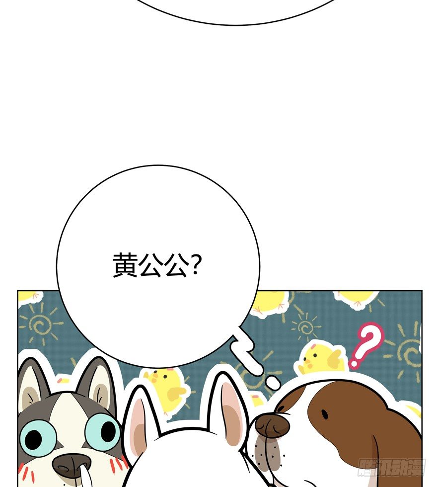 《回到过去变成猫外传》第45爪 夜幕下的阴谋（下） 第23页