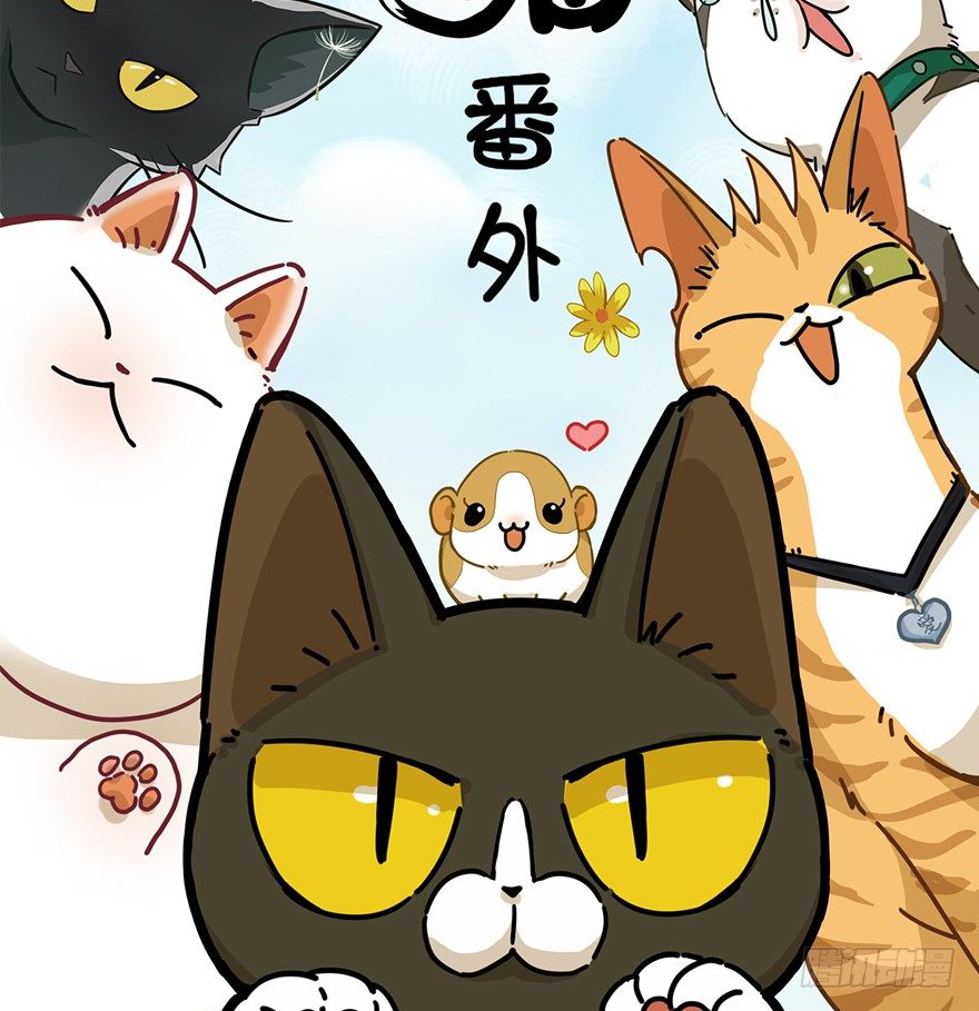 《回到过去变成猫外传》第45爪 夜幕下的阴谋（下） 第2页