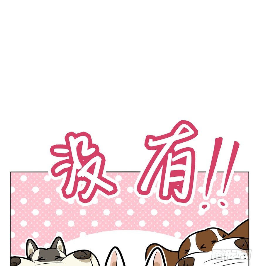 《回到过去变成猫外传》第45爪 夜幕下的阴谋（下） 第8页