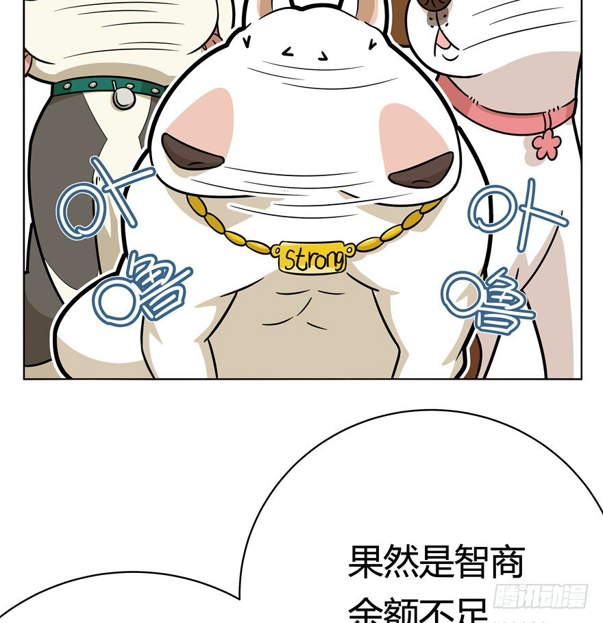 《回到过去变成猫外传》第45爪 夜幕下的阴谋（下） 第9页