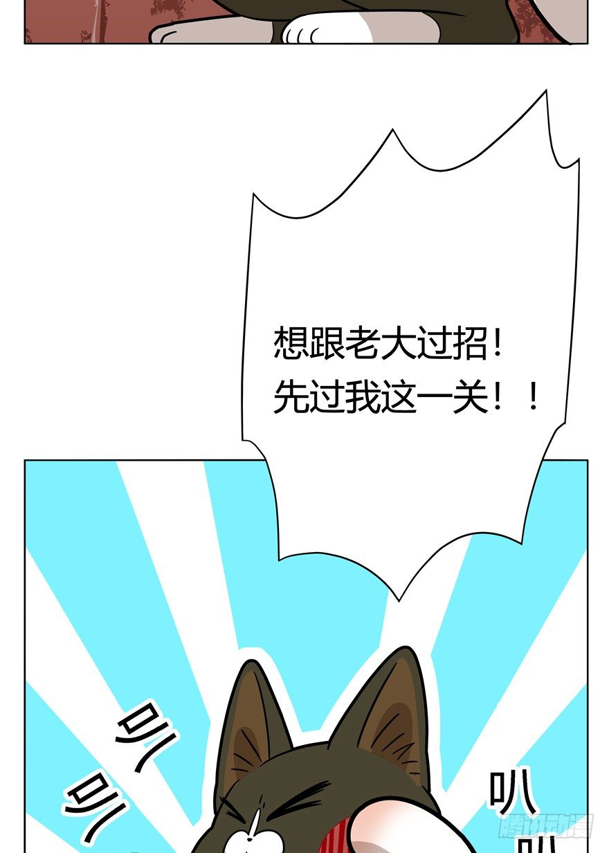 《回到过去变成猫外传》第43爪 想不到的结局（下） 第13页