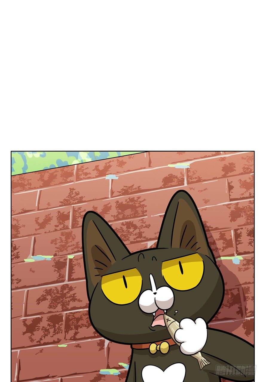 《回到过去变成猫外传》第43爪 想不到的结局（下） 第16页