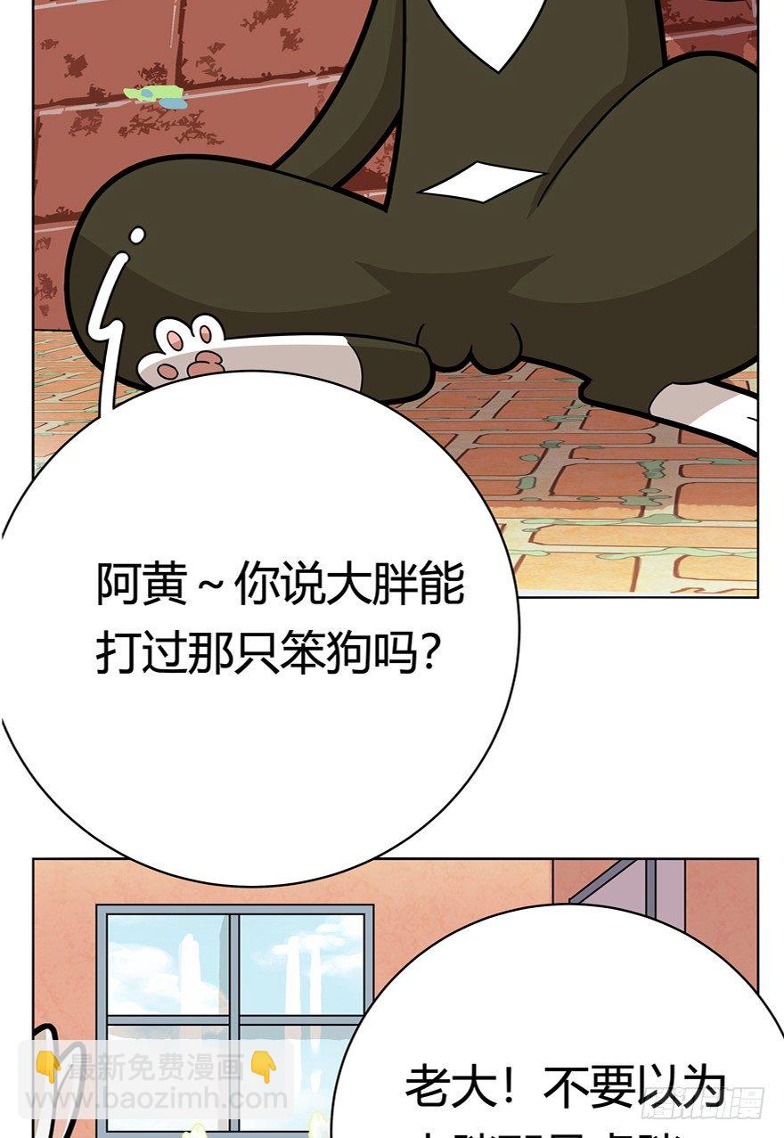 《回到过去变成猫外传》第43爪 想不到的结局（下） 第17页