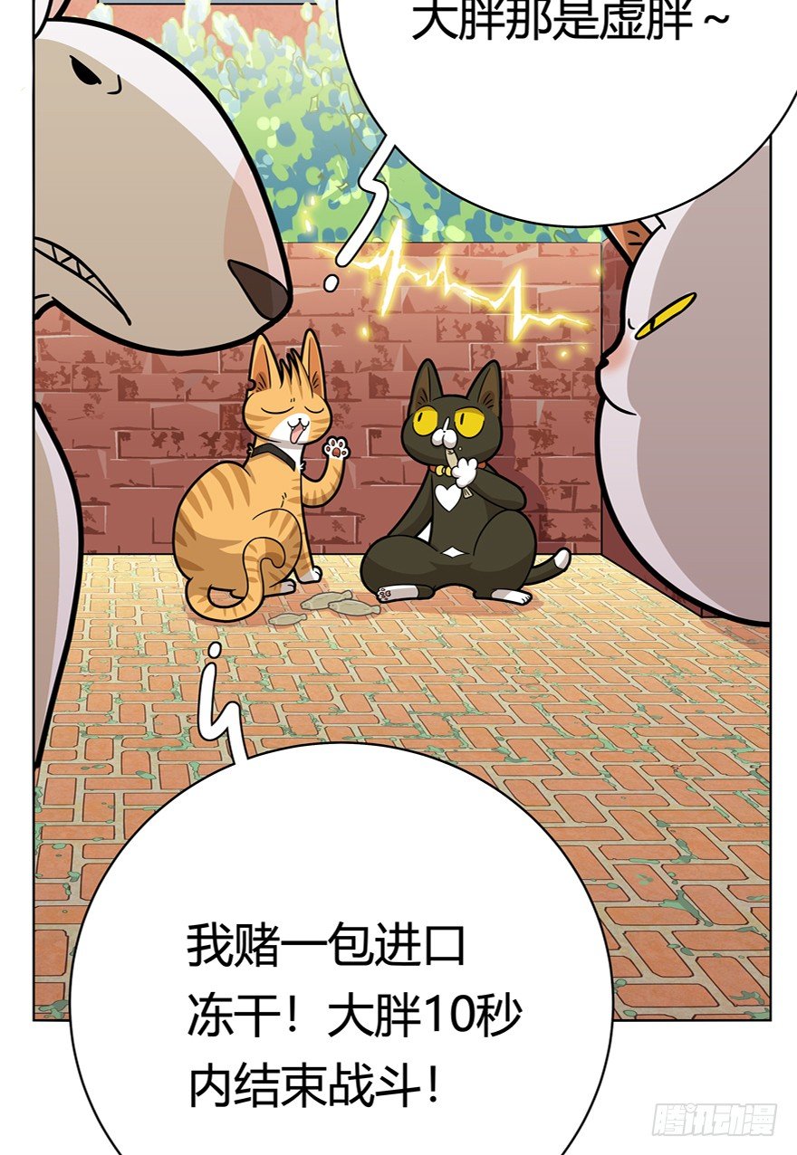 《回到过去变成猫外传》第43爪 想不到的结局（下） 第18页