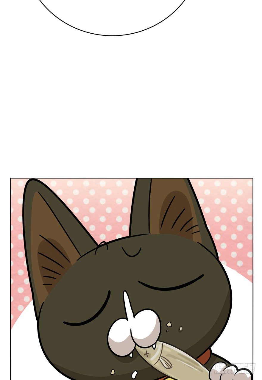 《回到过去变成猫外传》第43爪 想不到的结局（下） 第19页