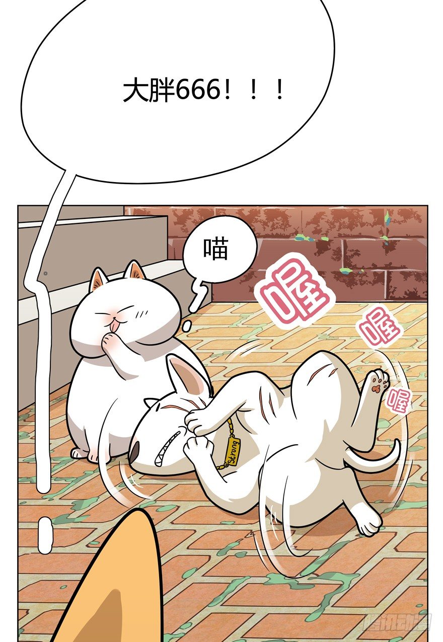 《回到过去变成猫外传》第43爪 想不到的结局（下） 第22页