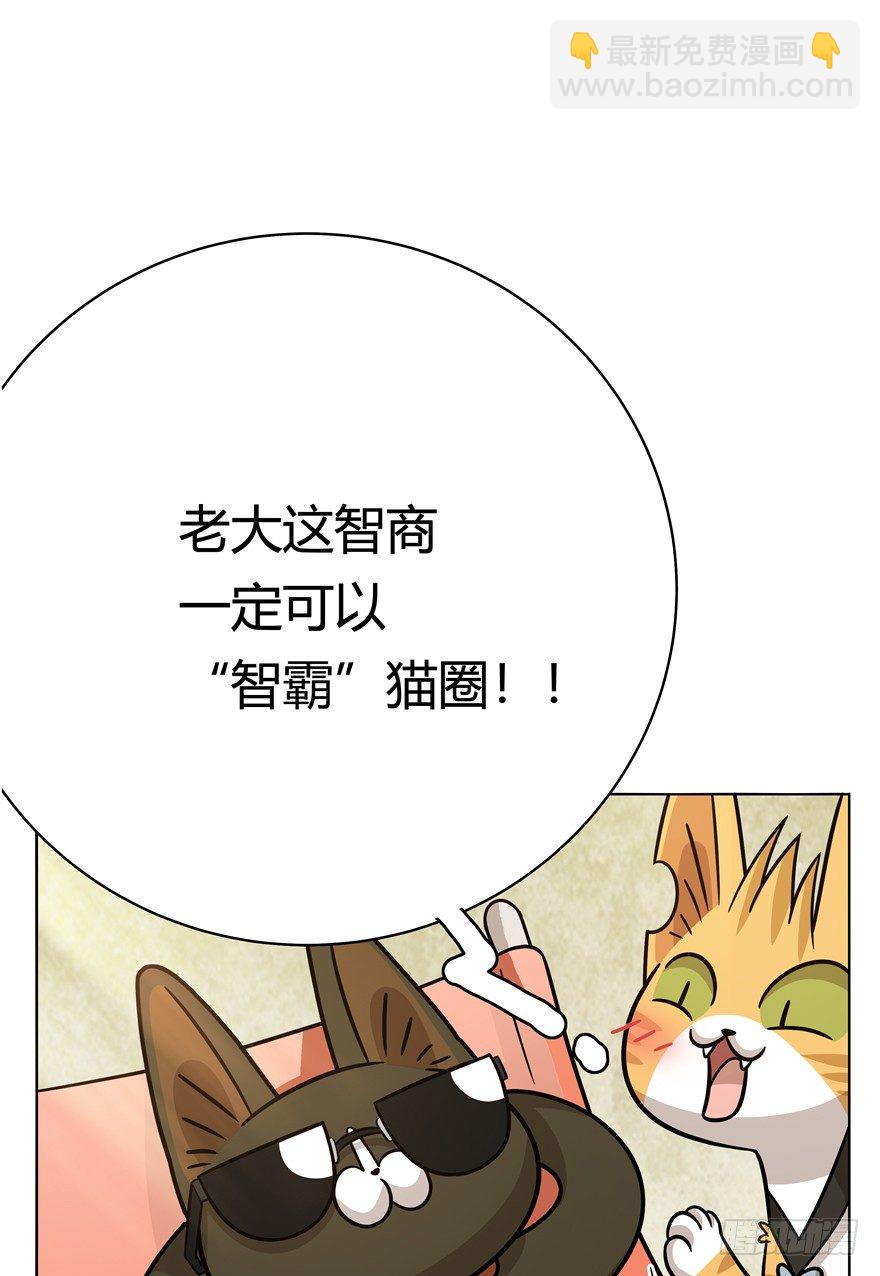《回到过去变成猫外传》第43爪 想不到的结局（下） 第26页